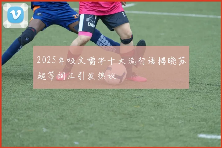 2025年咬文嚼字十大流行语揭晓苏超等词汇引发热议