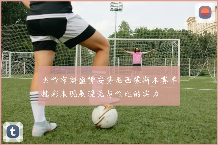 杰伦布朗盛赞安芬尼西蒙斯本赛季精彩表现展现无与伦比的实力