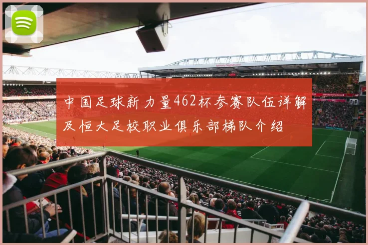 中国足球新力量462杯参赛队伍详解及恒大足校职业俱乐部梯队介绍