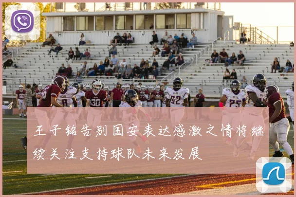 王子铭告别国安表达感激之情将继续关注支持球队未来发展