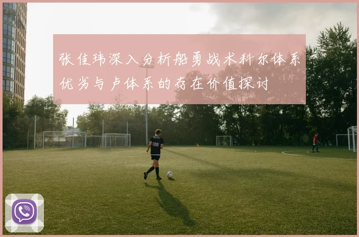 张佳玮深入分析船勇战术科尔体系优劣与卢体系的存在价值探讨