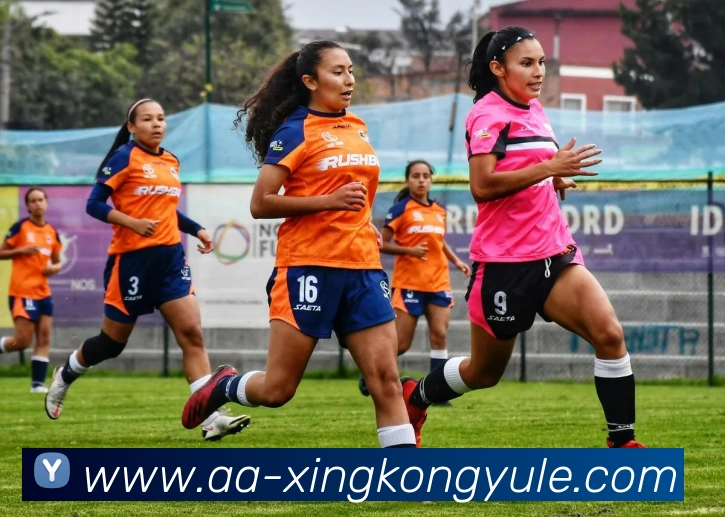 星空娱乐平台生态图