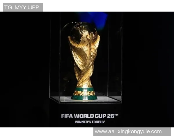 世界杯参赛队伍已定28支亚非直通名额全部确认